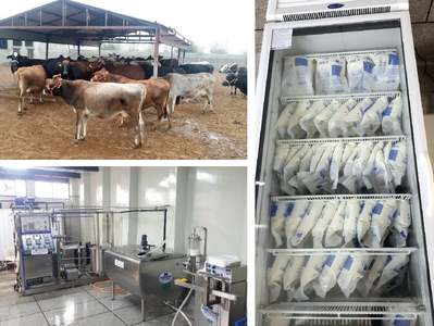Making the most of dairy farming