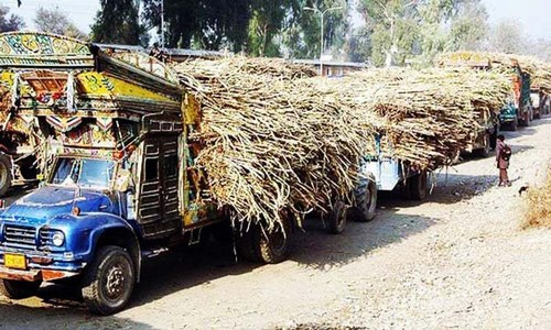 Cane growers not paid last year’s dues by two mills, farmers claim Cane growers not paid last year’s dues by two mills, farmers claim