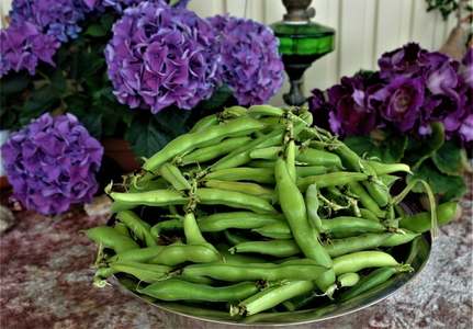 GARDENING: NO INSTA-COMPOSTS PLEASE