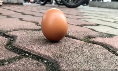Egg-standing test goes viral as ring-of-fire eclipse crosses Asia