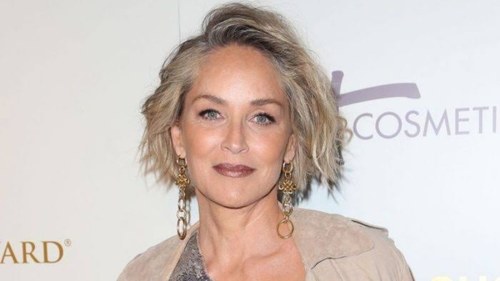Sharon Stone was removed from Bumble because no one believed Sharon Stone could be on Bumble