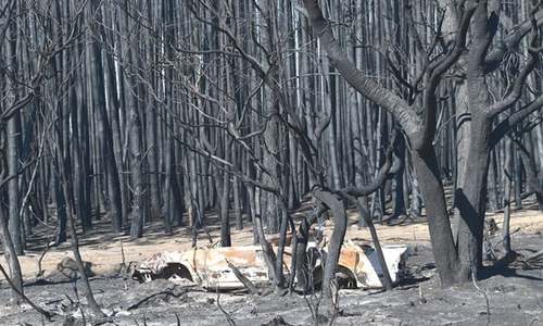 Australian govt pledges $1.4bn for fire-ravaged states, sends troops