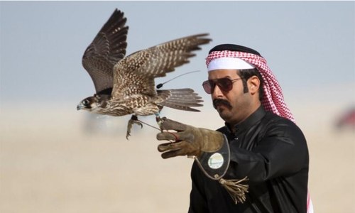 UAE royals allowed to hunt rare houbara bustard