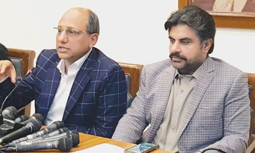 Sindh cabinet okays plan to involve private sector in revegetating wetlands Sindh cabinet okays plan to involve private sector in revegetating wetlands