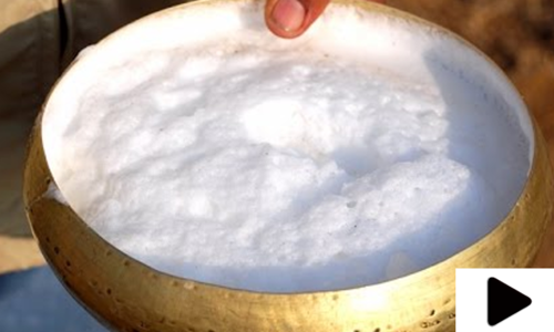 اونٹنی کا دودھ پینے سے کن کن بیماریوں کا علاج ممکن ہے؟