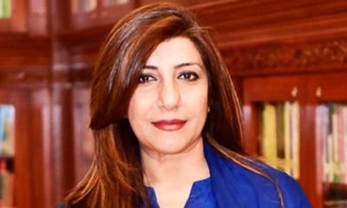 Pakistan peace mission still relevant: Foreign Office