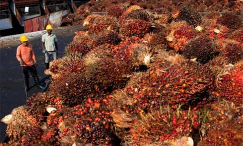 Malaysia bets on diplomacy to tackle India palm oil curbs