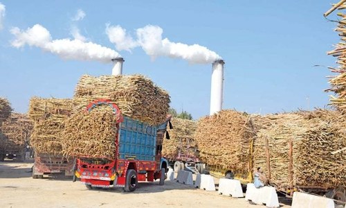 Politics-sugar barons nexus shortchanges consumer, farmer