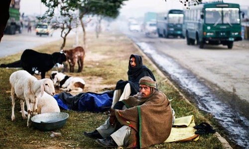 KP&rsquo;s less than 10pc livestock vaccinated every year