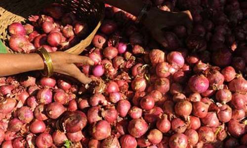 ECC bans onion export, sets wheat procurement target at 8.25m tonnes ECC bans onion export, sets wheat procurement target at 8.25m tonnes