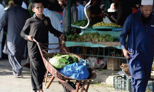 LHC gives EPA a week to enforce ban on plastic bags at stores
