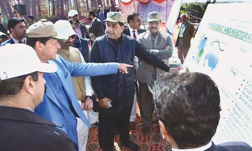 PM Imran wants people involved in felling trees arrested