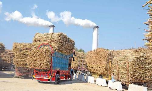 55,000 sugar bags seized in raid on Sharifs&rsquo; mills