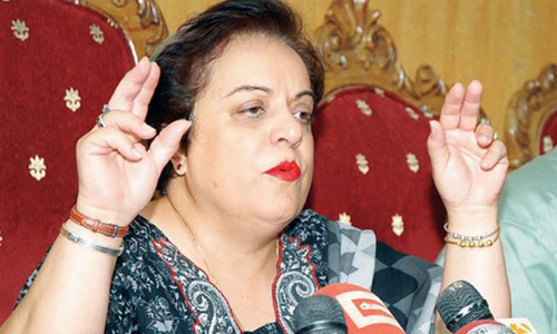 Shireen Mazari condemns 'calls by political leaders to forcibly stop' Aurat March