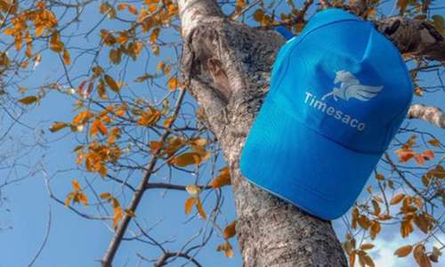 Chinese firm set to launch ride-hailing service in Karachi this month