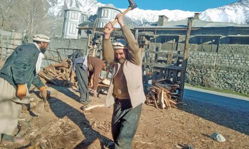 Promotion of agroforestry stressed in Chitral