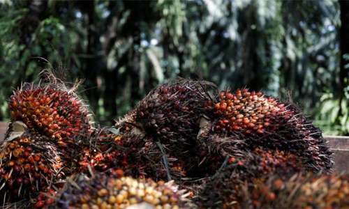 Malaysia aims to resolve palm oil spat with India within month's time