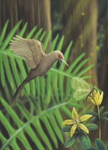Pint-sized bird may be smallest dinosaur yet: study