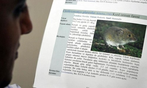 Man dies of hantavirus in China: report