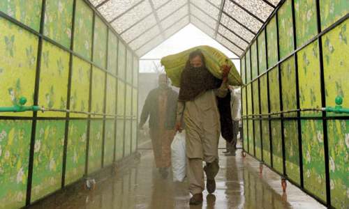 Capital admin collecting details of 33,000 families living below poverty line to provide edibles