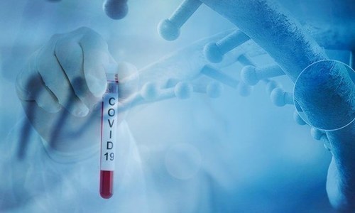 Use of plasma allowed for treating Covid-19 patients in KP Use of plasma allowed for treating Covid-19 patients in KP