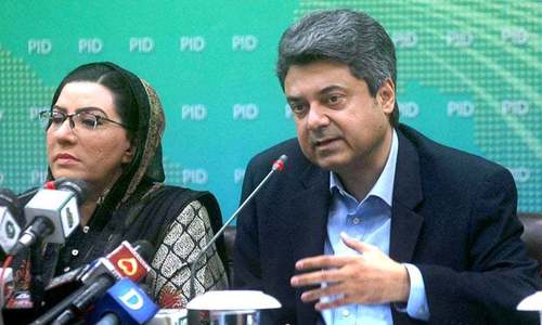 Key agencies will team up to curb smuggling: minister