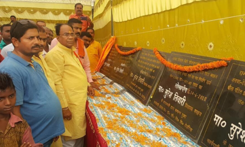 BJP lawmaker warns against buying vegetables from Muslim vendors to keep safe from virus