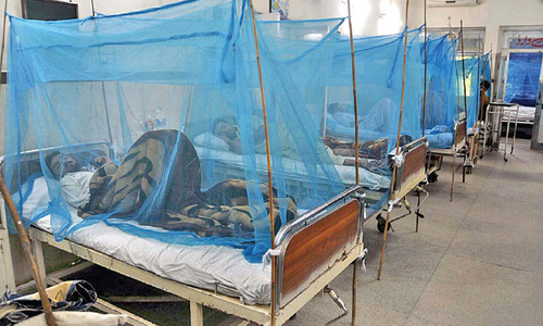 Suspected dengue patients arrive in Pindi hospitals Suspected dengue patients arrive in Pindi hospitals