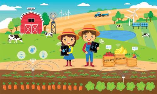 Revamping farm produce marketing Revamping farm produce marketing