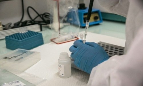 Scientists hunt for genetic key to virus vulnerability