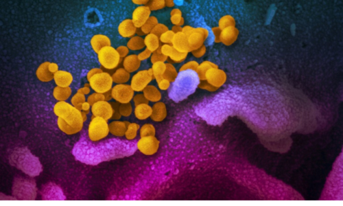 US officials warn against 'Covid-19 parties'