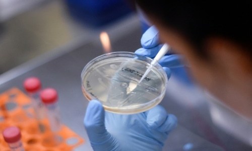 US accuses China of hacking vaccine research