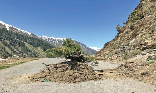 Kaghan growers demand reopening of key road