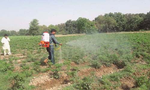 Pakistan, India working to fight locusts: FO