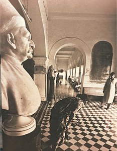 Bringing down the statues Bringing down the statues