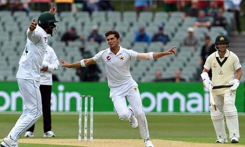 Shaheen wants to keep focus on Test cricket