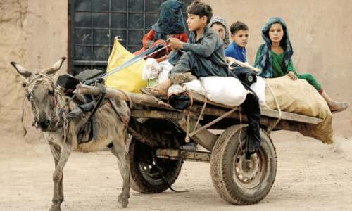 Forced displacement affecting over 1pc of humanity: UNHCR