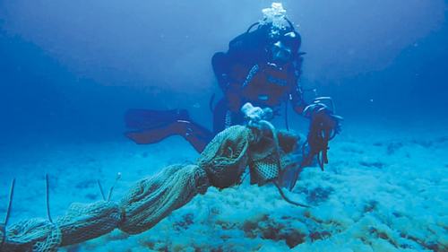 Mediterranean marine life flourished during lockdown