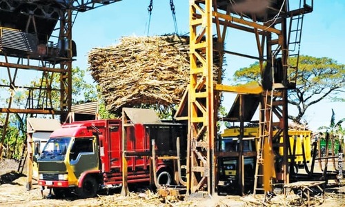 Govt in dock over sugar probe body&rsquo;s notification