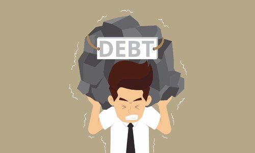 Growing domestic debt