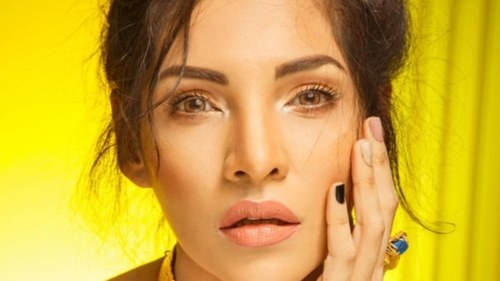 Zhalay Sarhadi is working on an international film project