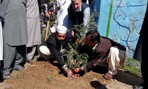 &lsquo;Plant for Pakistan&rsquo; campaign launched in several KP districts