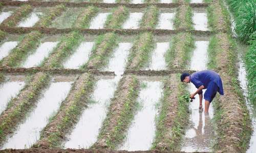 Dynamics of agriculture landholdings