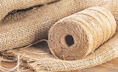 Plan evolved to boost export of processed jute