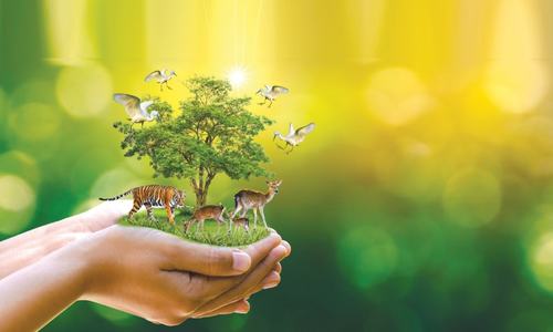 Nature needs conservation