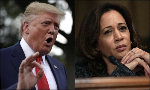 Trump fans false &lsquo;birther&rsquo; theory about Kamala Harris