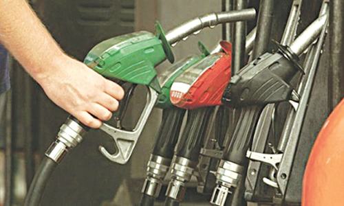 Petroleum imports plunge 25pc
