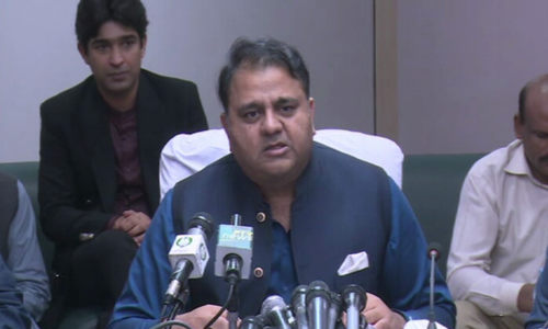 Cabinet decision to approve industrial production of hemp could generate $1 billion revenue: Fawad