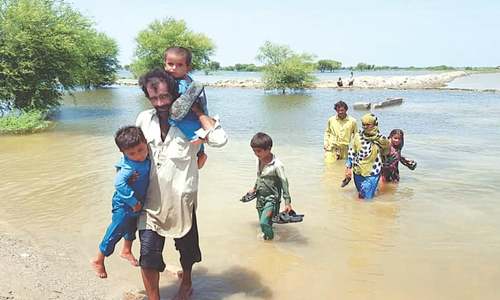 NDMA told to liaise with Sindh, KP over flood damage assessment