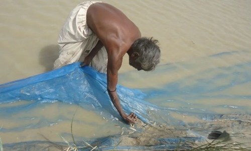 Fishing communities of Sindh forced into destructive practices
